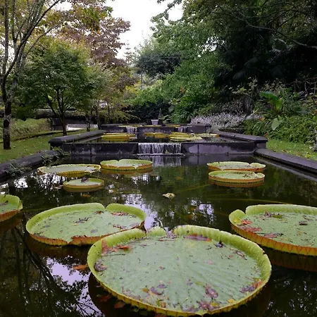 Casa Nostra Villa Furnas (Azores)