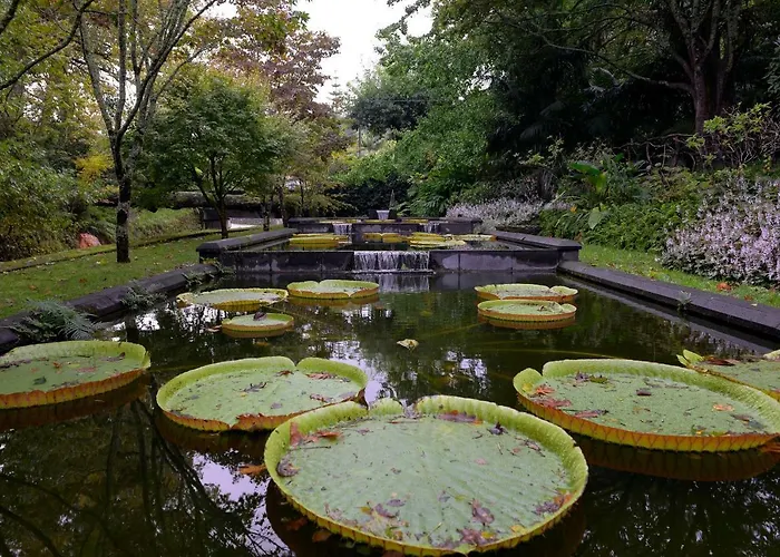 Casa Nostra Villa Furnas (Azores)